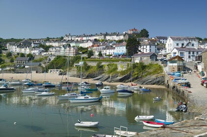 Dog friendly accommodation store new quay wales